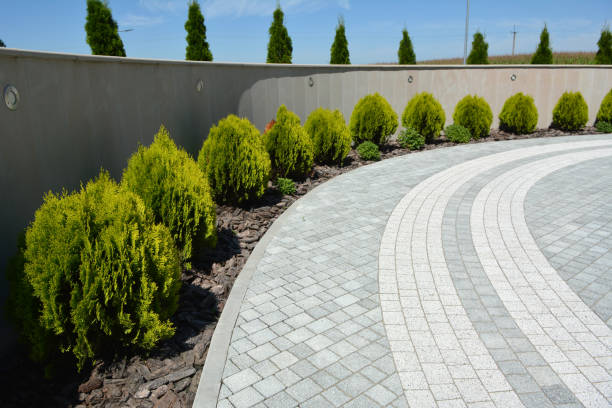 Best Custom Driveway Pavers  in Centreville, MD